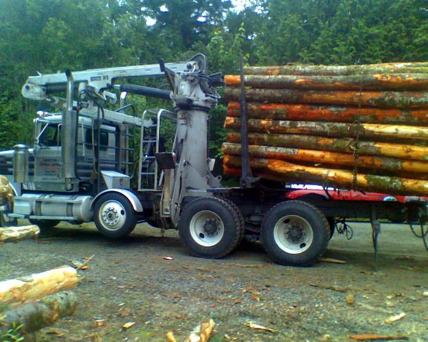 Pennysaver Firewood For Sale Logs 5 Yard Dump Log Truck Loads