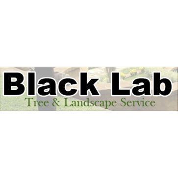 Black Lab Tree & Landscape Services