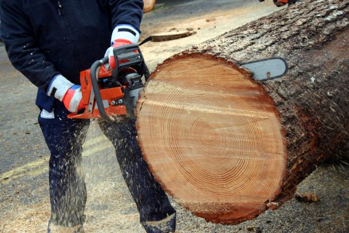 Arapahoe Tree Surgeons