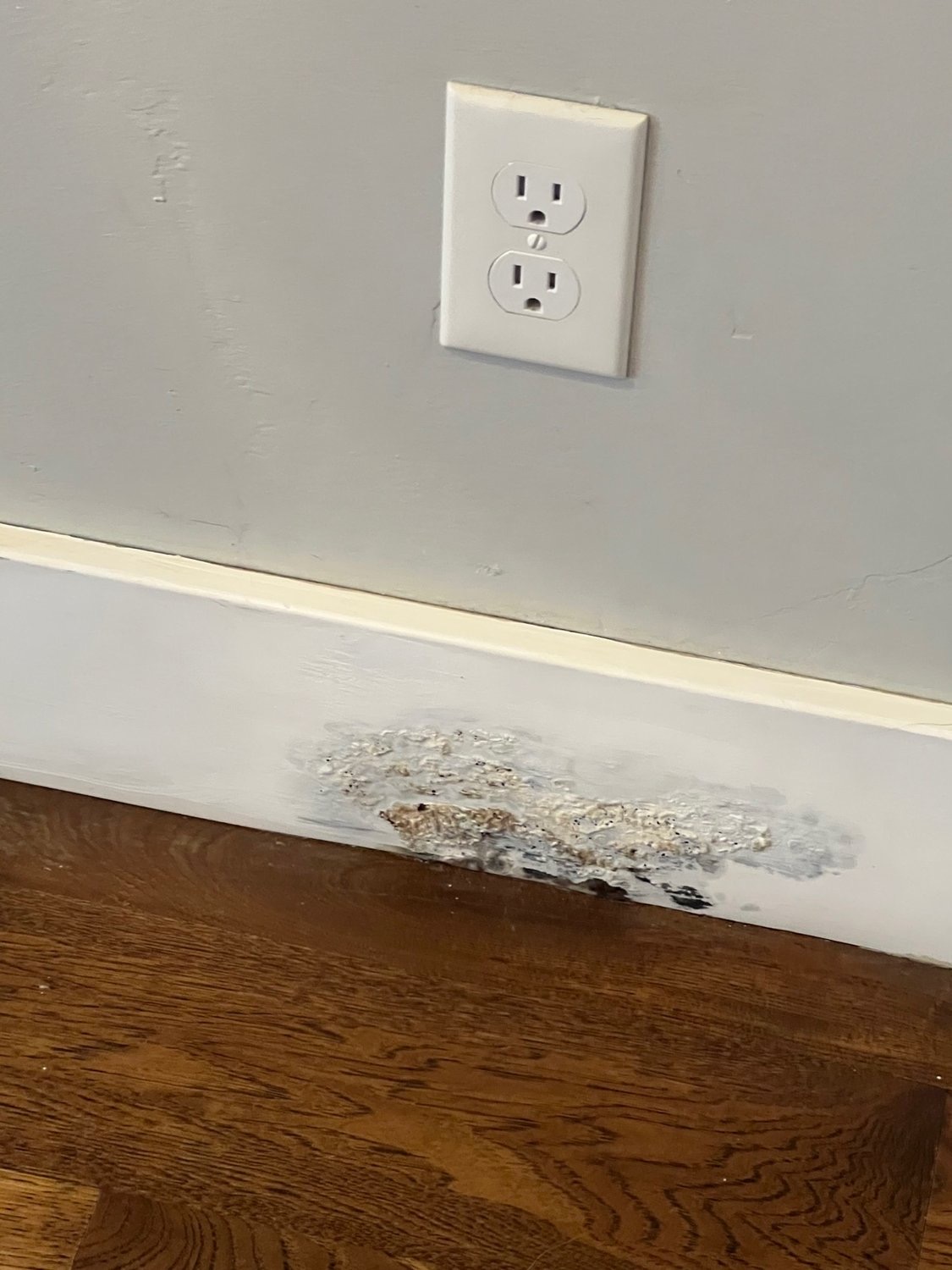 Hydro Heroes - Water Damage Experts