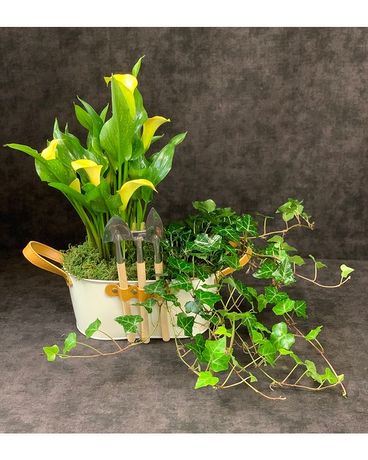 Greenwood Florist & Flower Delivery