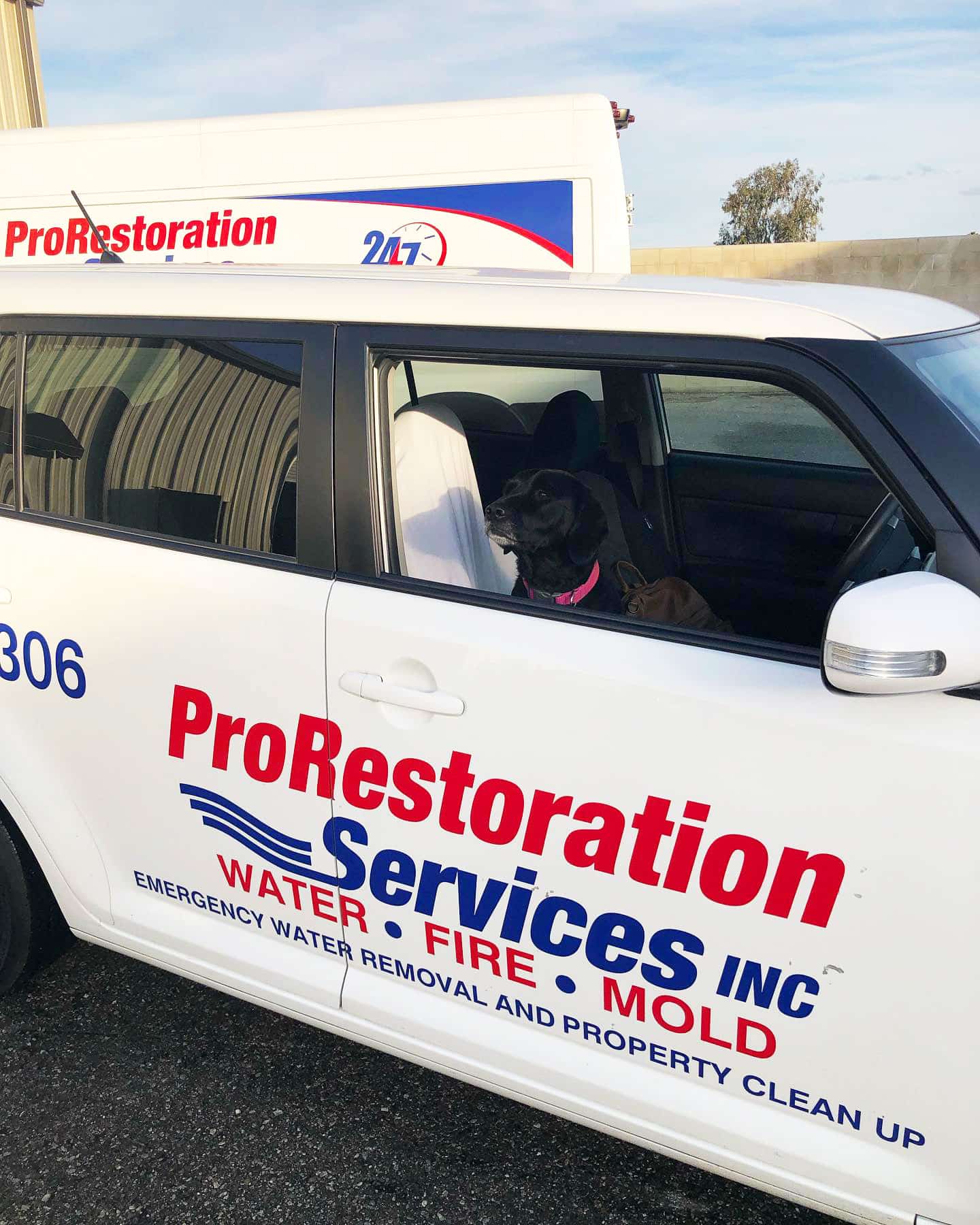 ProRestoration Services Inc
