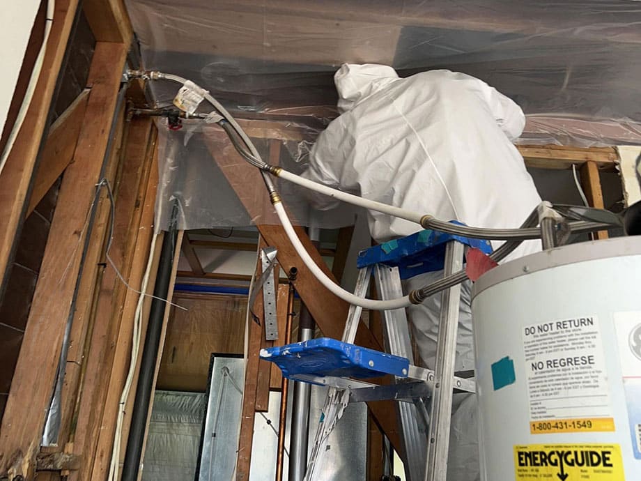 ProRestoration Services Inc