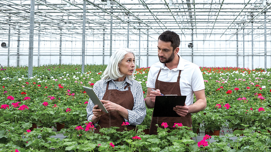 Nursery Inventory Software