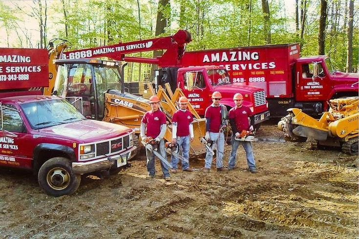 Commercial Tree Service in NJ – Amazing Tree Services