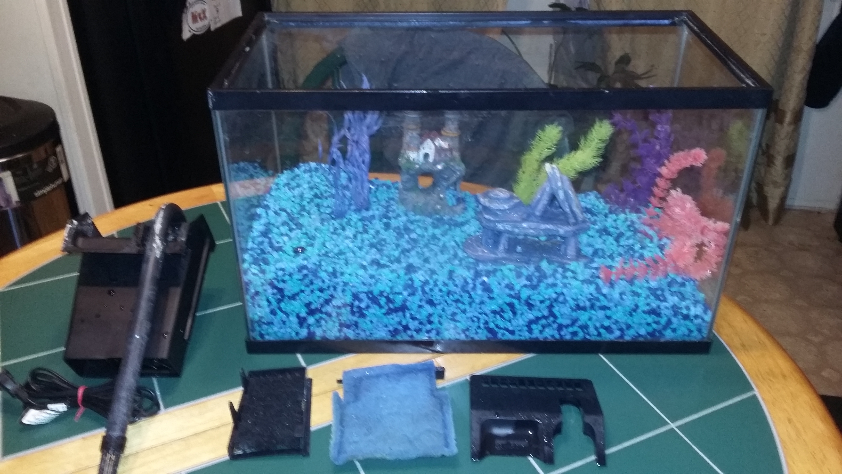 10 Gallon fish tank with 30.00 gravel glo plants filter extras
