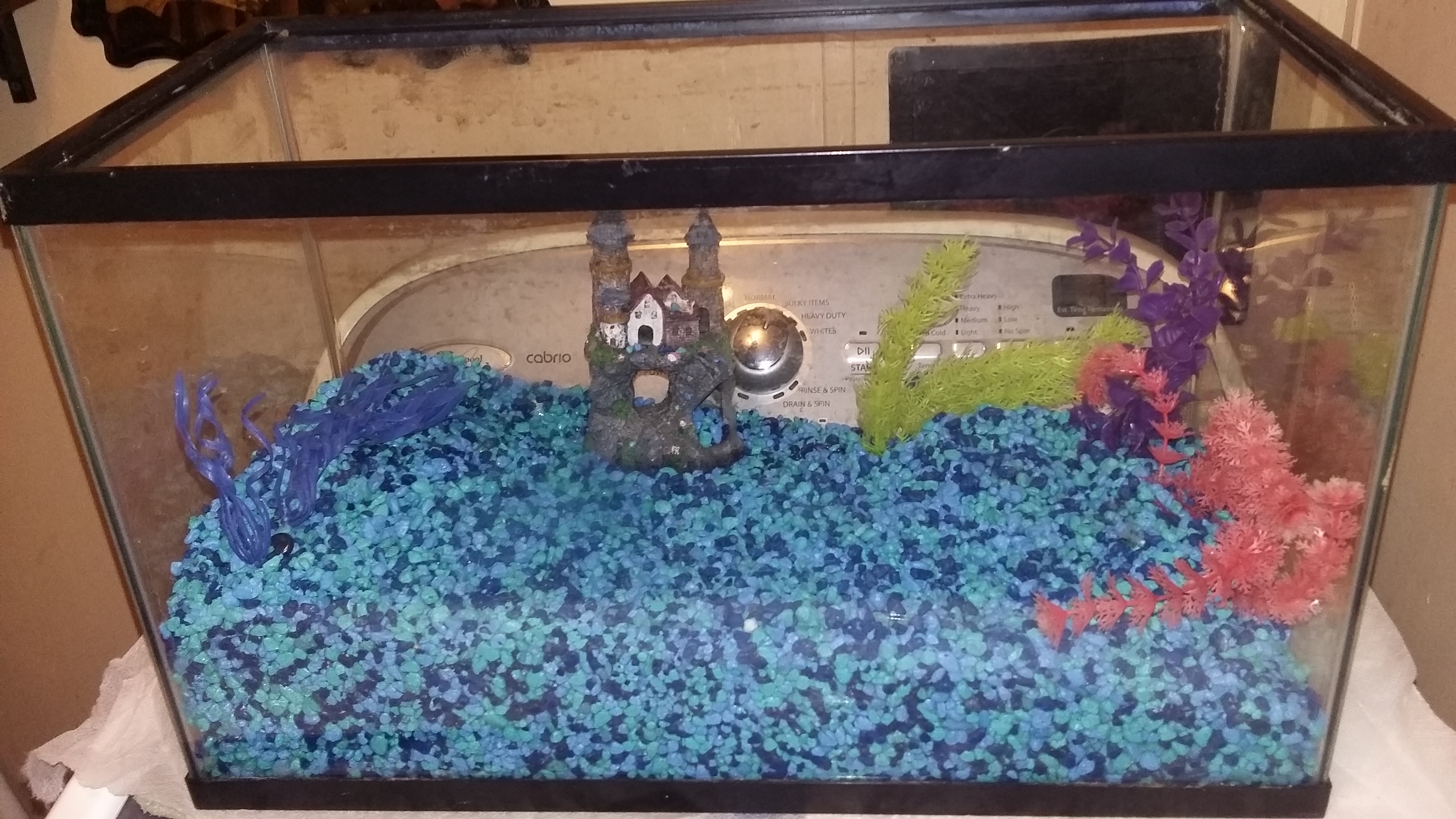 10 Gallon fish tank with 30.00 gravel glo plants filter extras
