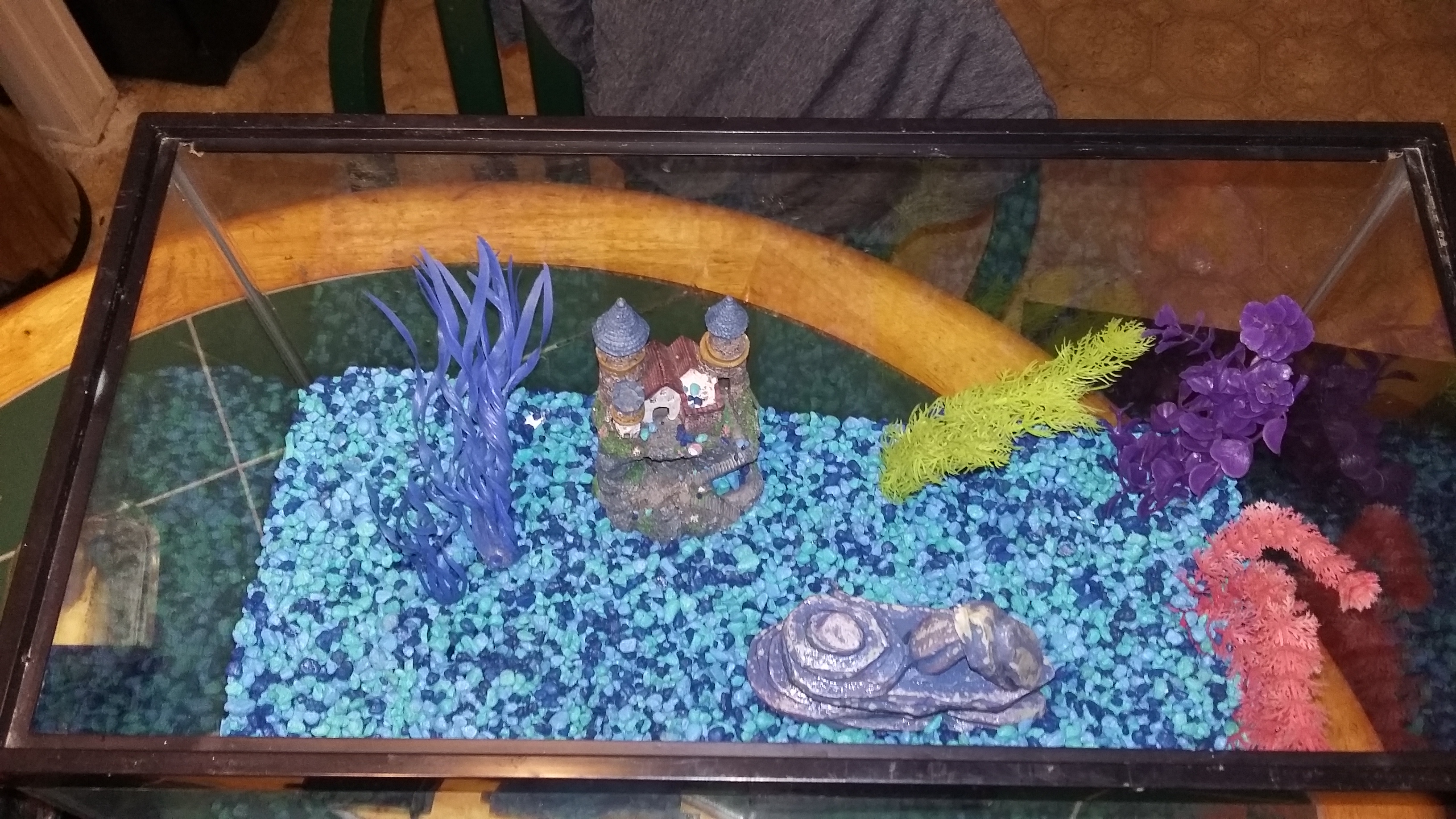 10 Gallon fish tank with 30.00 gravel glo plants filter extras