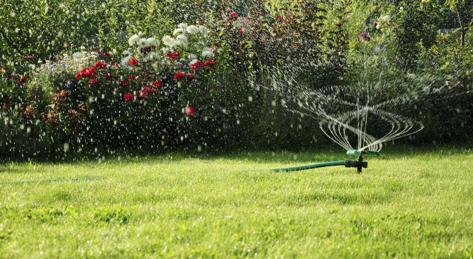 Rafael's Landscaping Maintenance