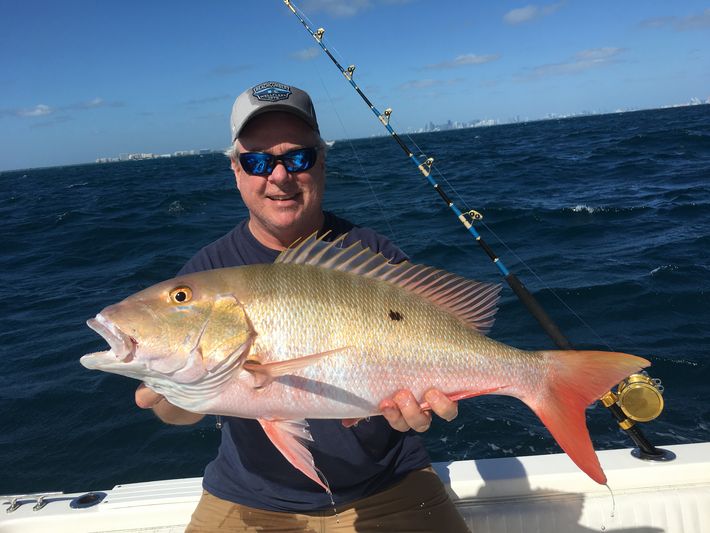 Fully Safe And Deluxe Miami Sport Fishing Charters