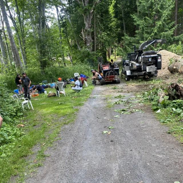 Earthworks Tree Service