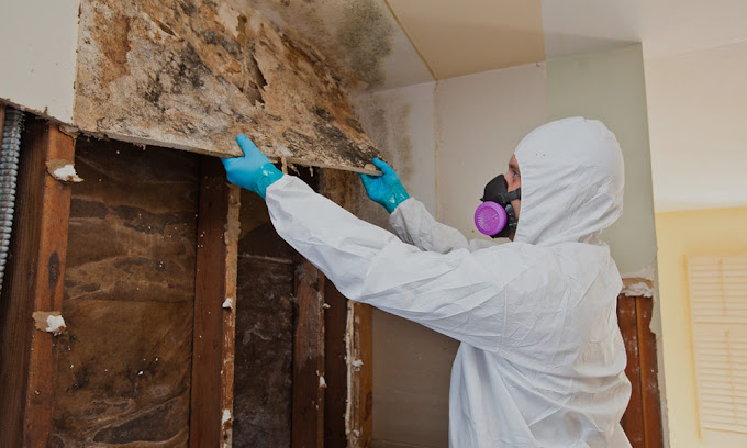 Strictly Cleaning Restoration