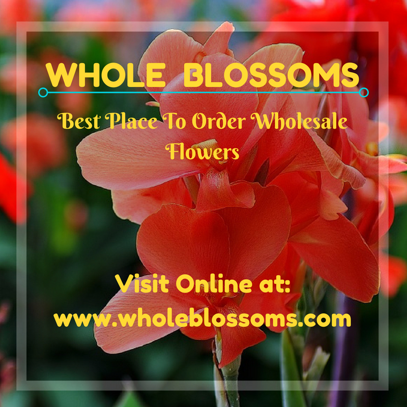 Buy Wholesale Flowers Online