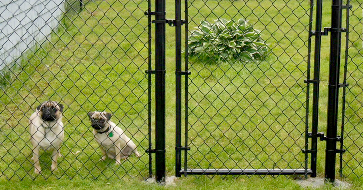 No1fence - Coated Chainlink Fence