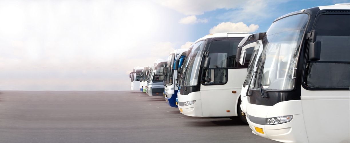 Charter Bus
