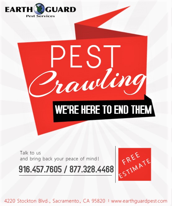 Got Pest?? Exterminate now!