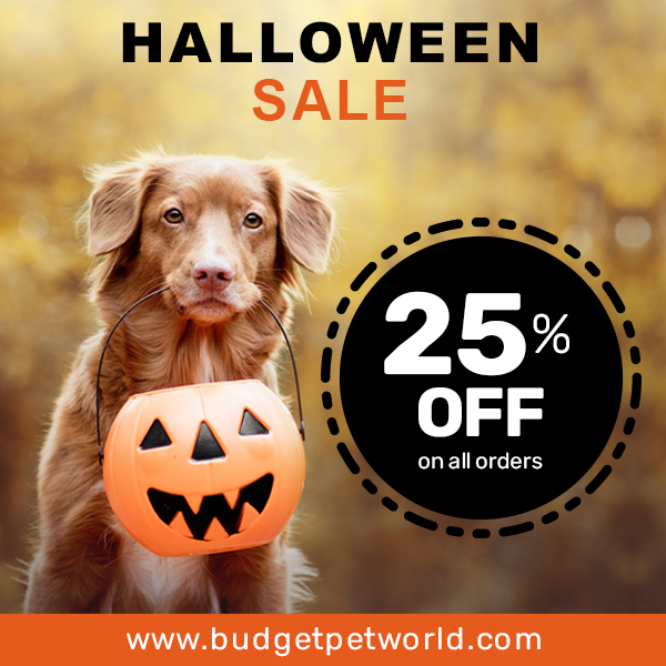 Spooktacular Savings! 25% Off your Pet Supplies This Halloween at BudgetPetWorld