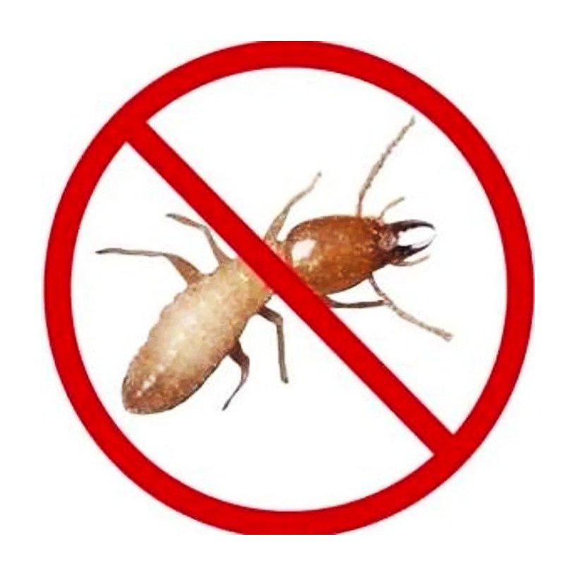 Diverse Termite
