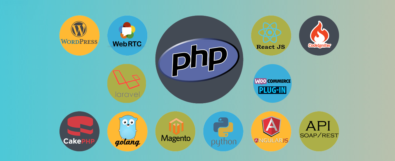 Best Web Development Company In Kansas City, Missouri