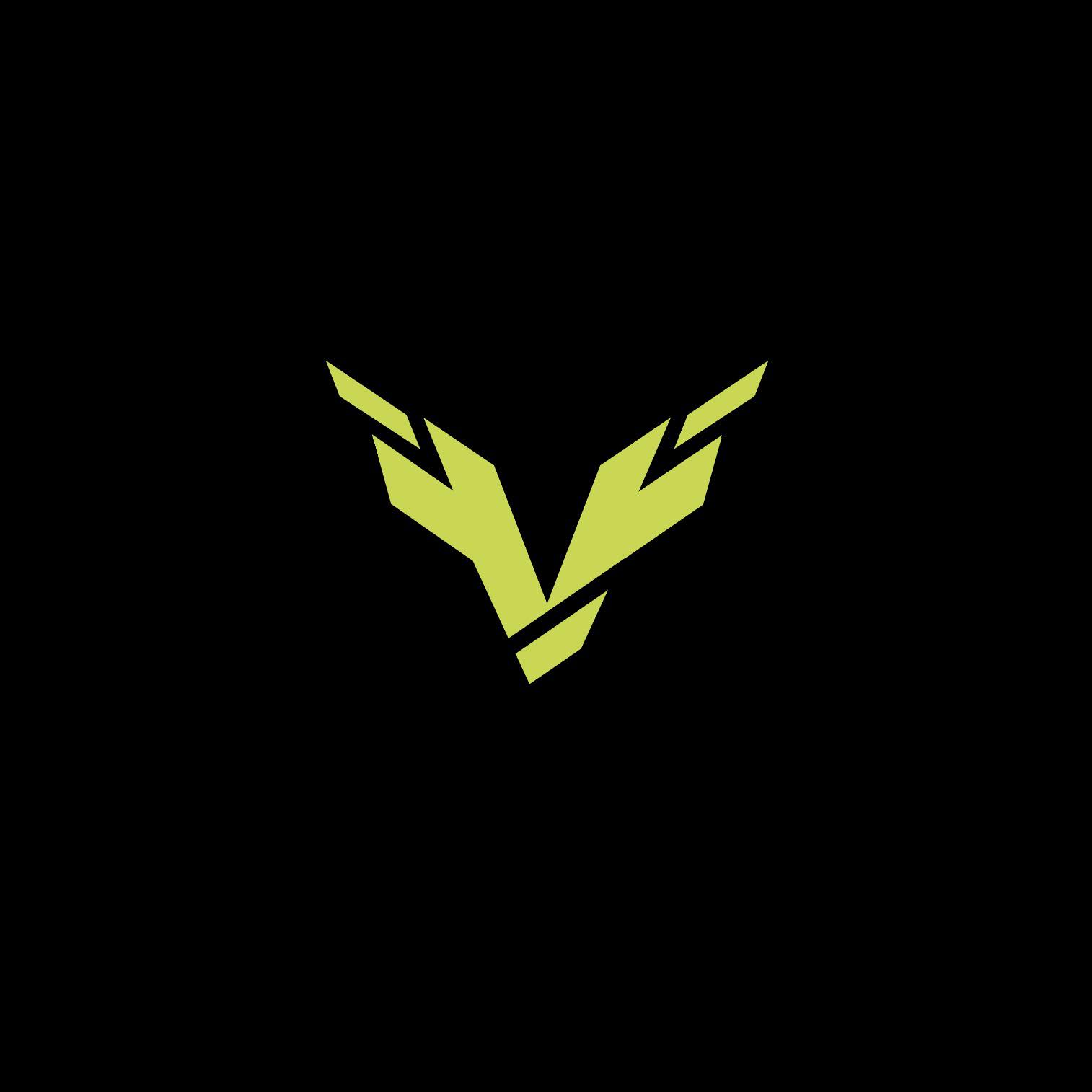 Black V Protect