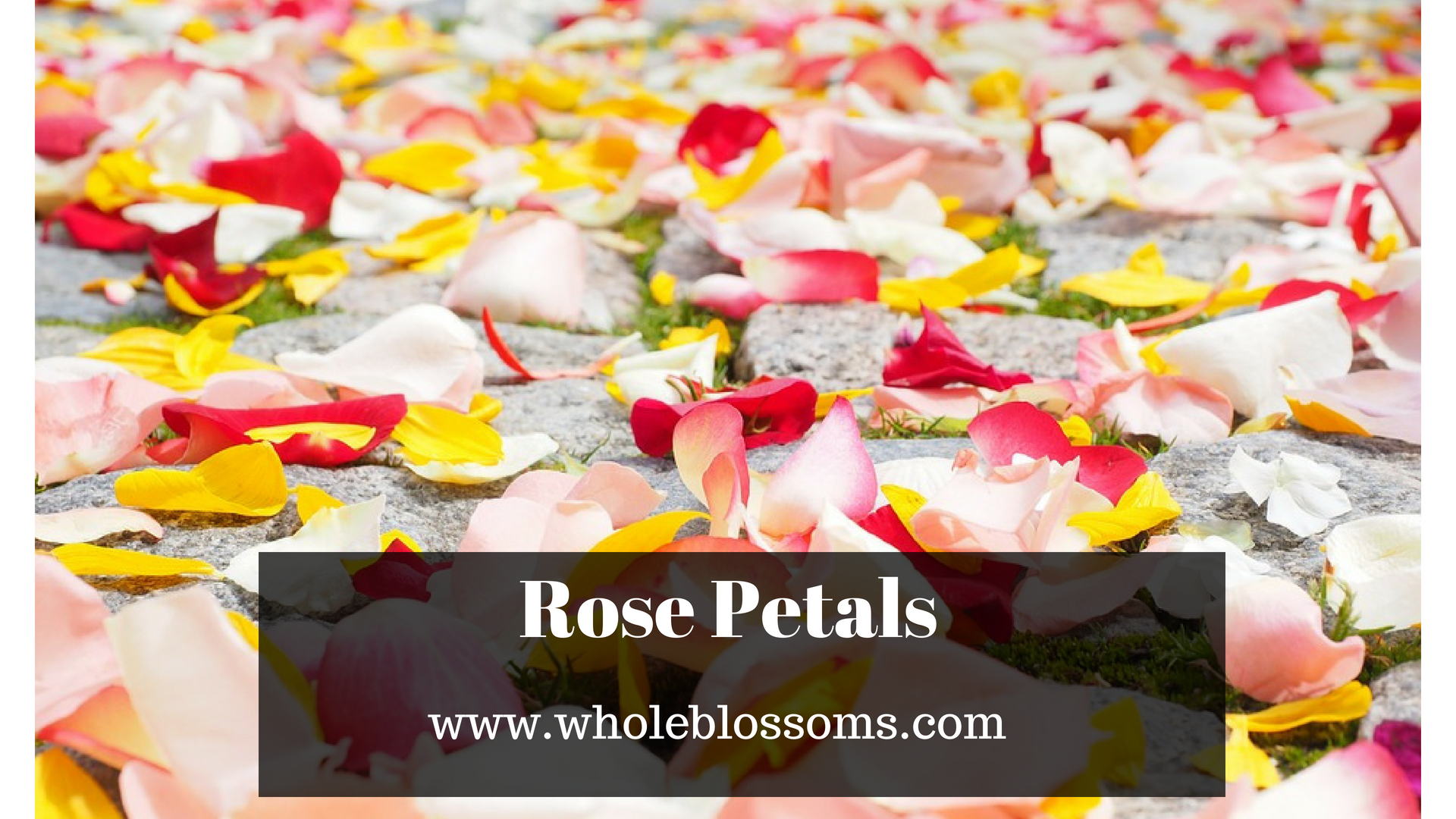 Order Beautiful Rose Petals from Whole Blossoms