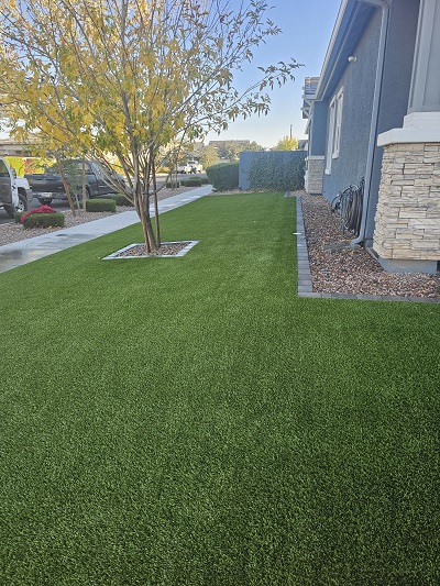 Desert Grass and Greens