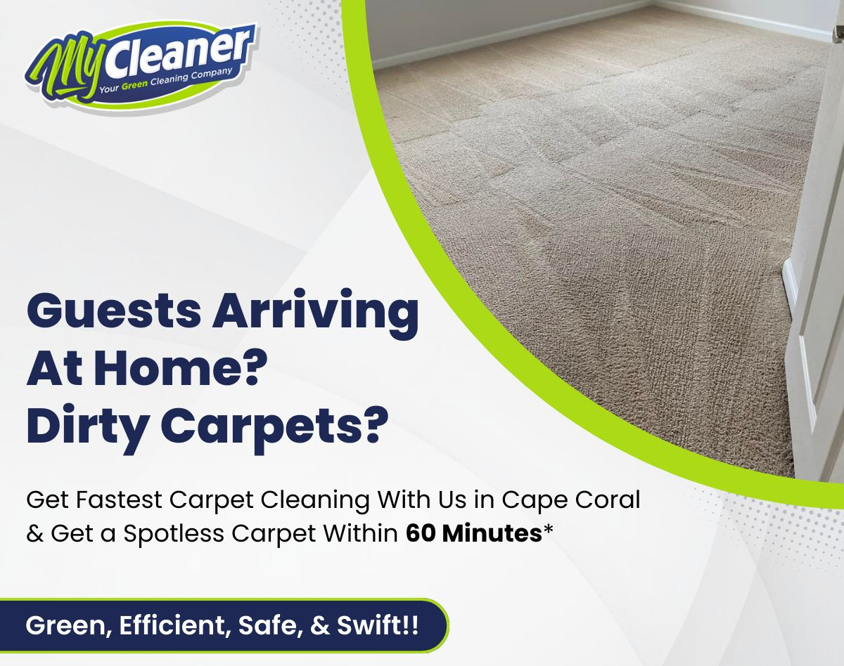 Reliable & Affordable Carpet Cleaning in Westport, MA