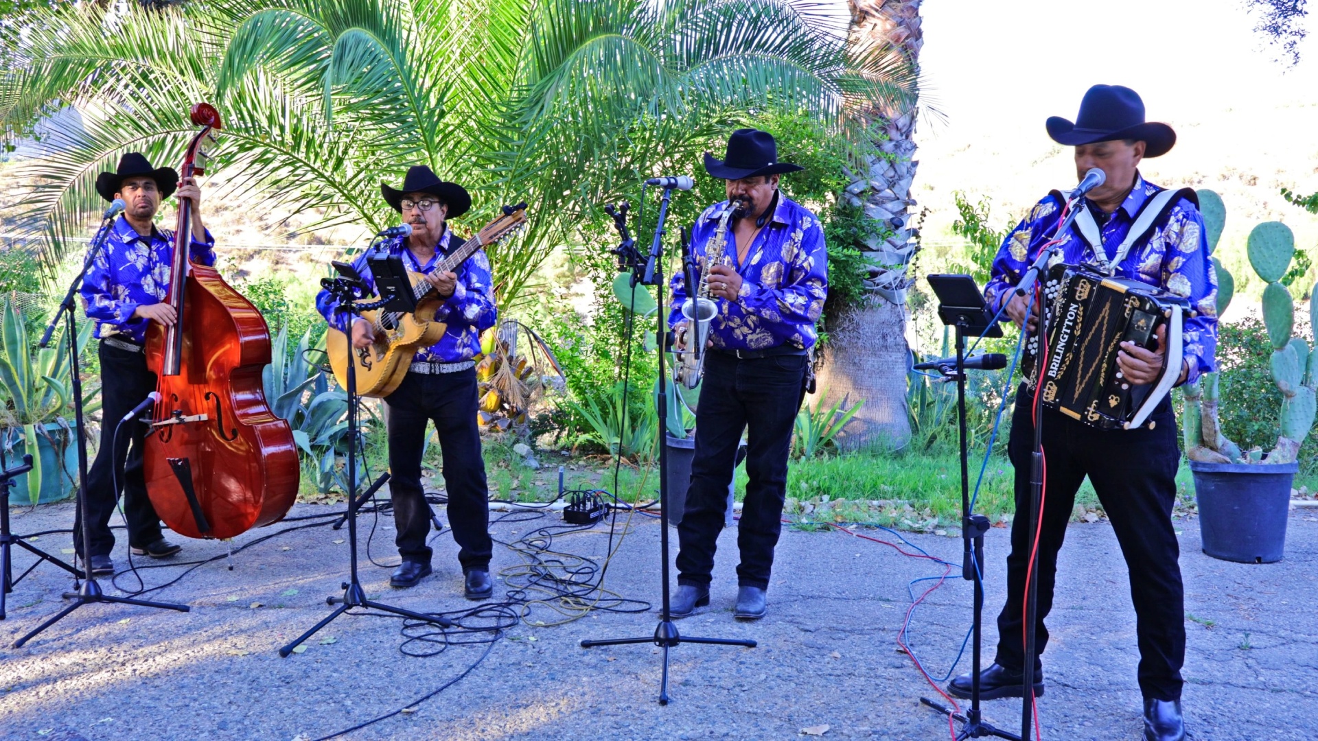 Chirrines con Sax y Tololoche en Los Angeles CA buenos precios