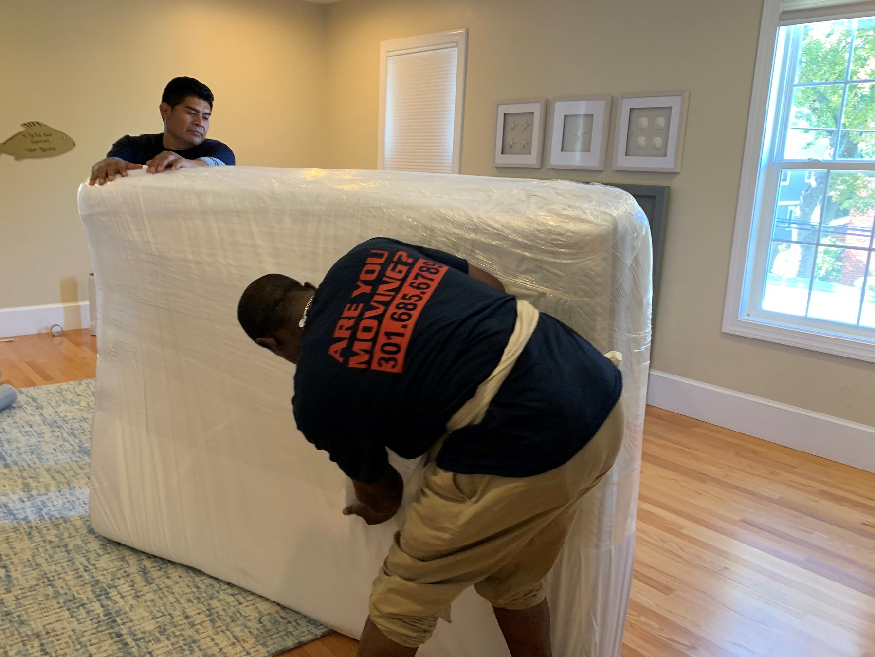 Choose the Professional Movers in Maryland