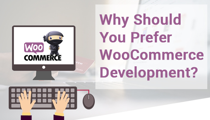 Best Woocommerce Web Development Services