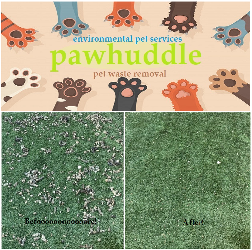 Pawhuddle Is Flagler County's Premier Pet Waste Removal Service