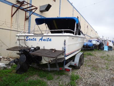 SEARAY BOAT SRV 220 1974 WITH TRAILER