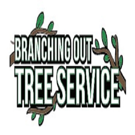 Tree Cutting & Trimming