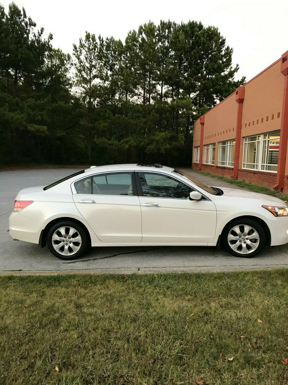2010 Honda Accord White