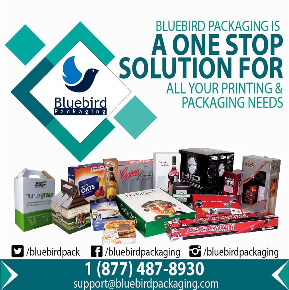 Custom Packaging Boxes Solutions in USA – Bluebird Packaging