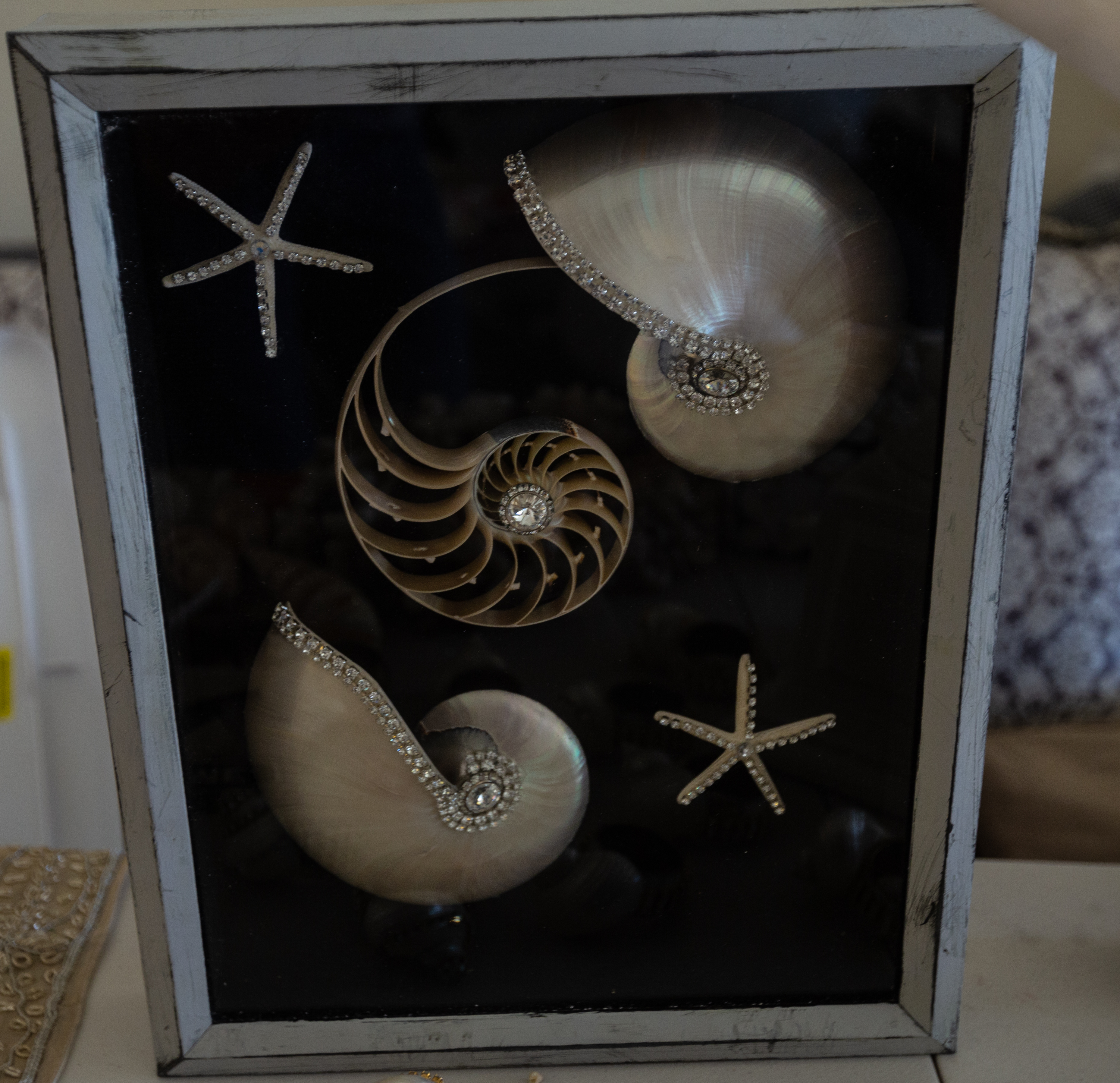 Decorative Seashell Business For Sale - Attn Crafters, Swap Meet Vendors, Antique/Craft Mall Vendors