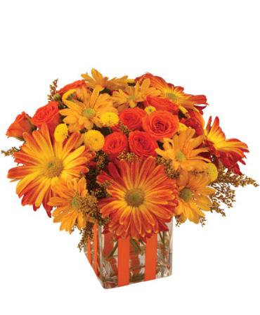 Neffsville Flower Shoppe