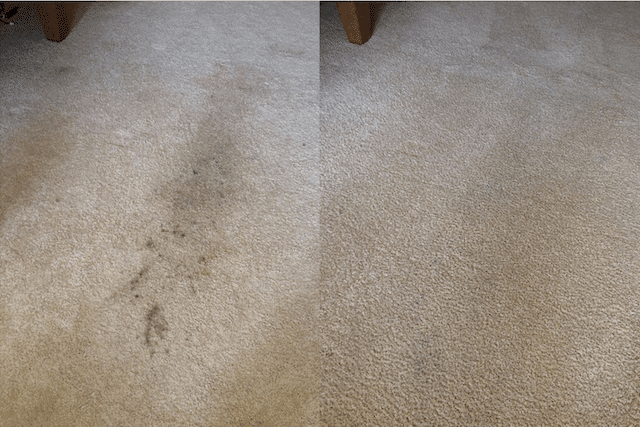 Carpet Cleaning in New York City