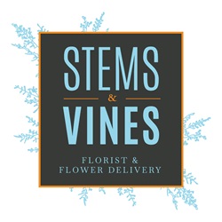 Stems & Vines - Florist & Flower Delivery