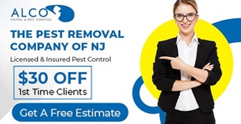 Transparent Pest Control Cost NJ – Get Quality Service Today