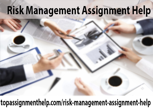 Risk Management Assignment Help