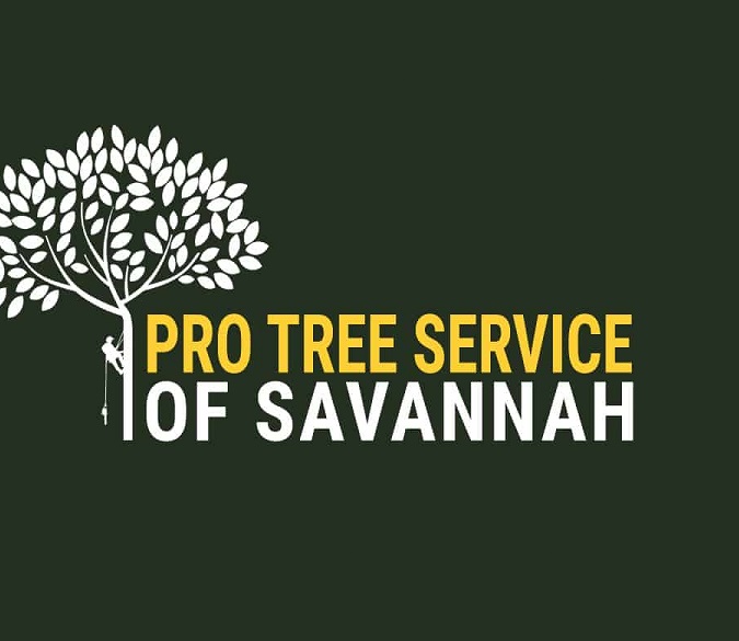 Pro Tree Service of Savannah