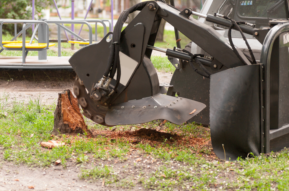 Pro Tree Service of Savannah