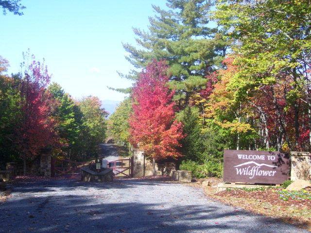 Beautiful Mountain Lot