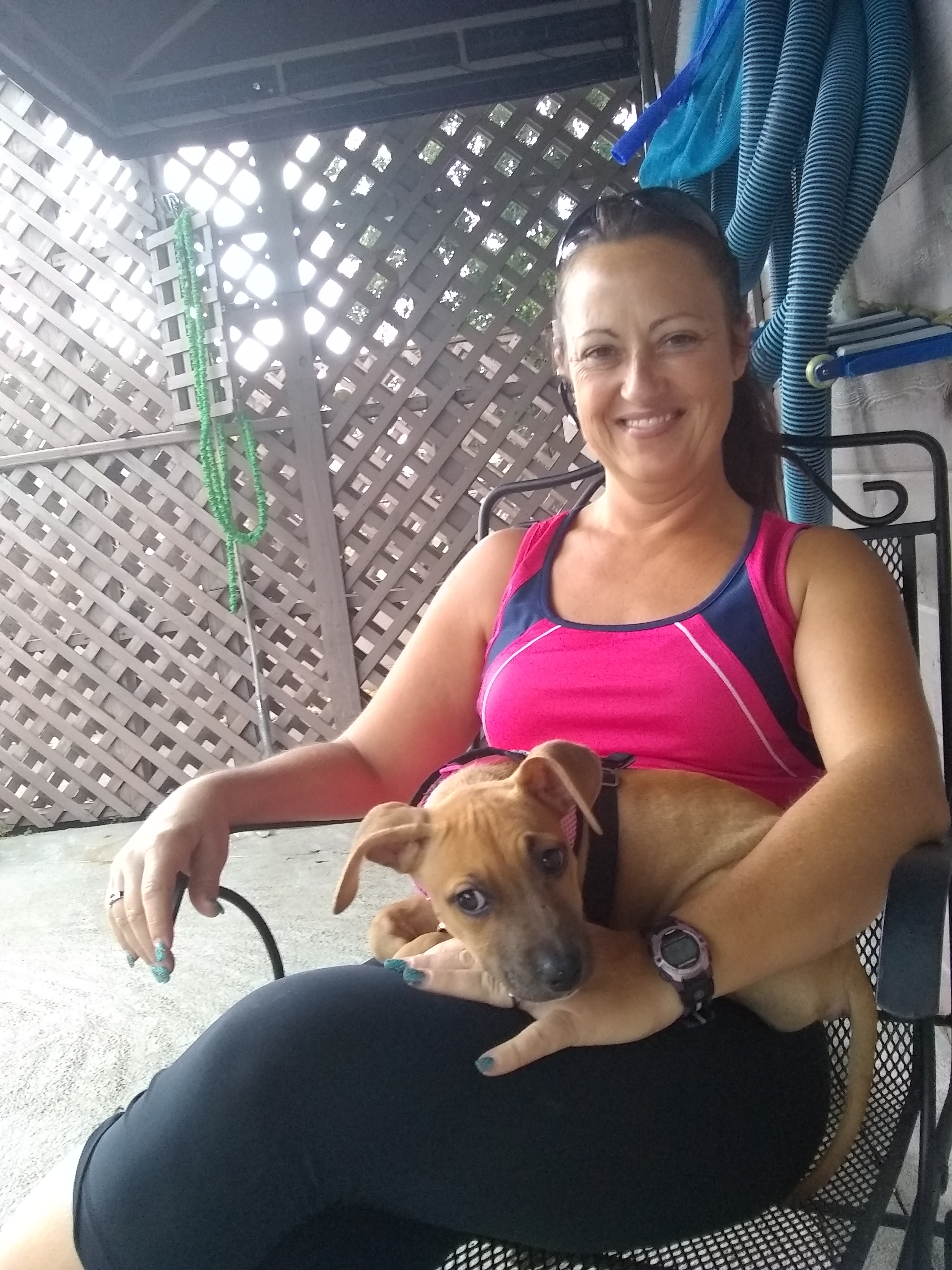 KENNEL FREE boarding & doggie daycare
