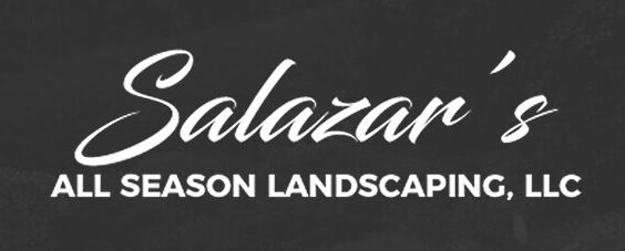 Mount Vernon's Trusted Landscaping Company in the Area!