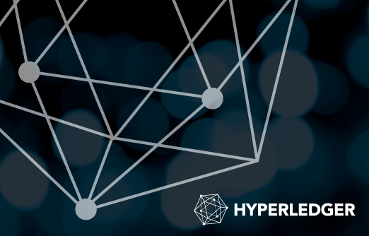Hyperledger Fabric Development Company - TokyoTechie