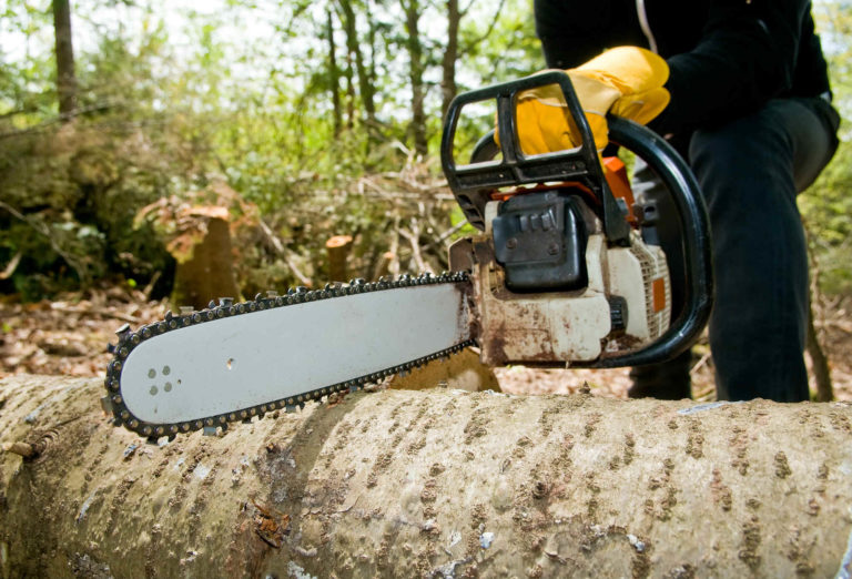 B H L Tree & Land Services