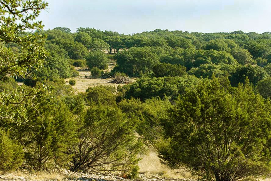 Texas Hill Country Hunting Properties - Game Preserve Land for Sale