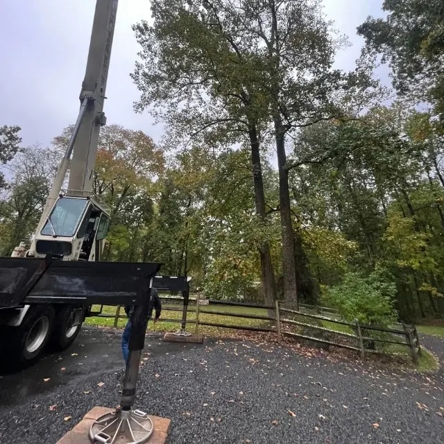 Kemp Tree Services